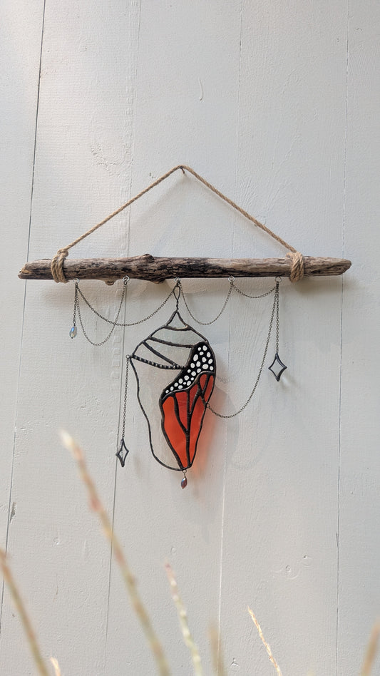 Beauty of the Struggle 1