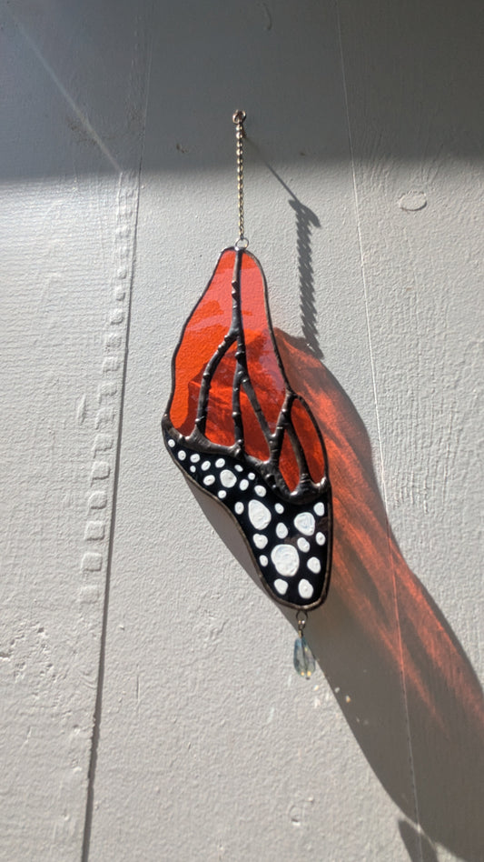 Single Monarch Wing