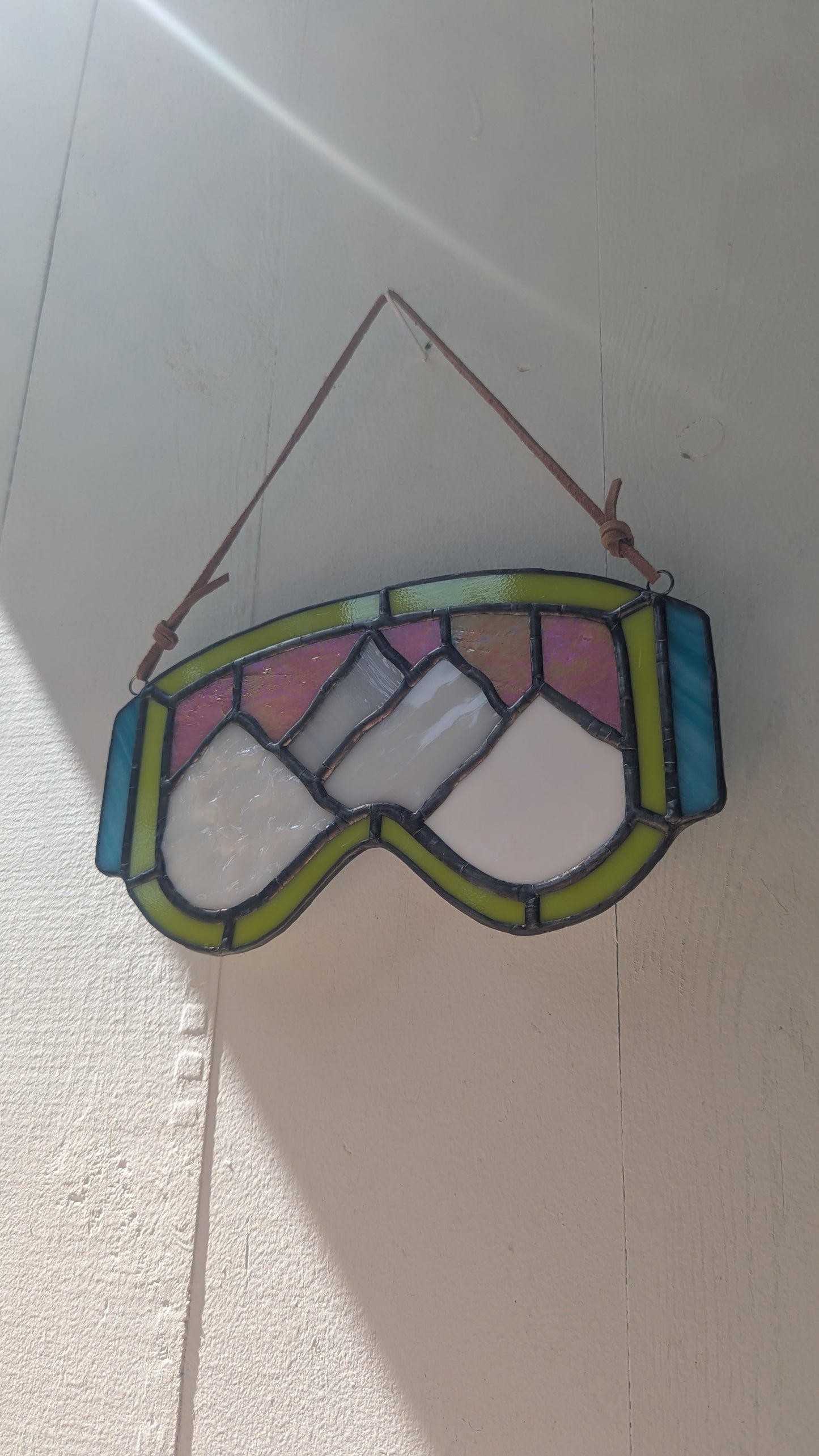 Mountain Ski Goggles