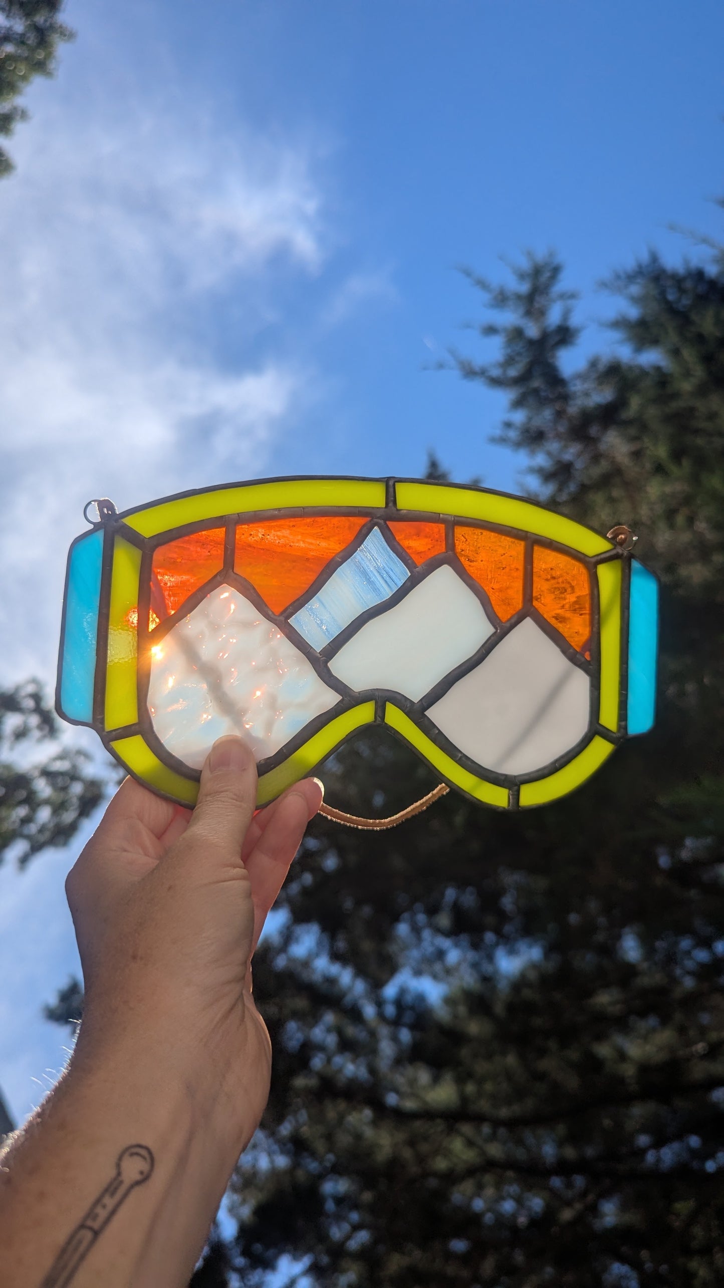 Mountain Ski Goggles