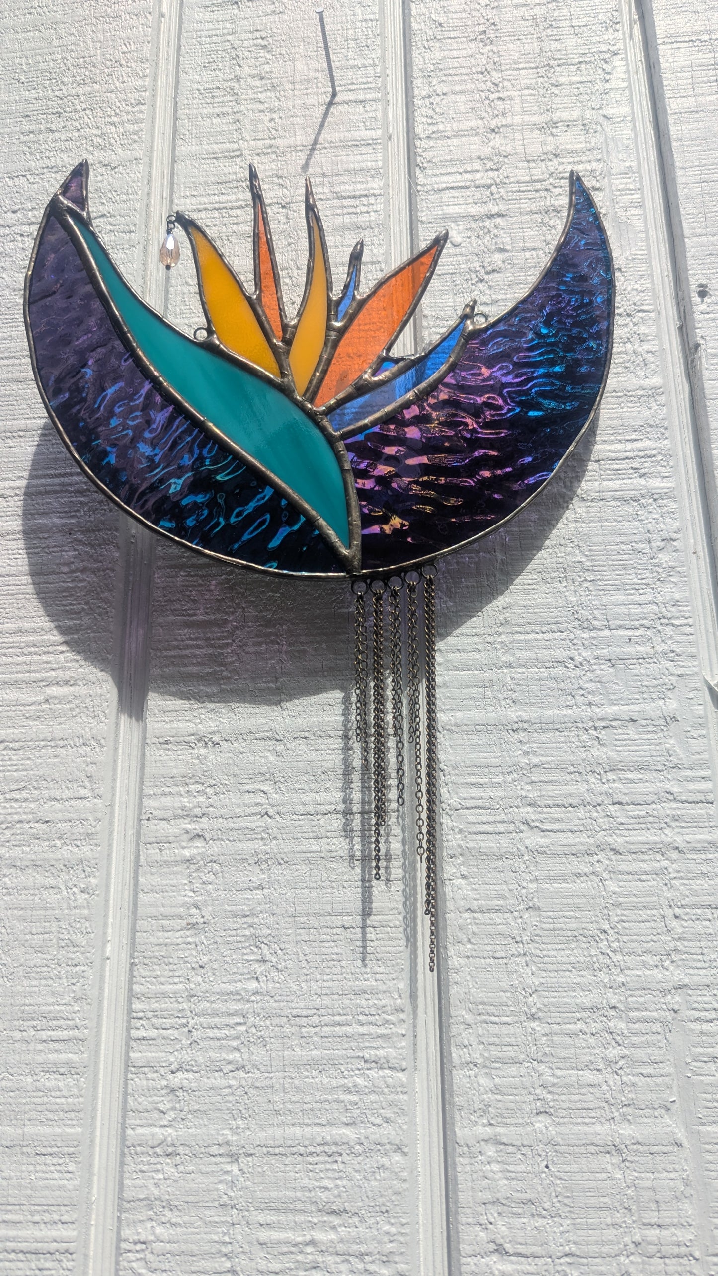 Bird of Paradise