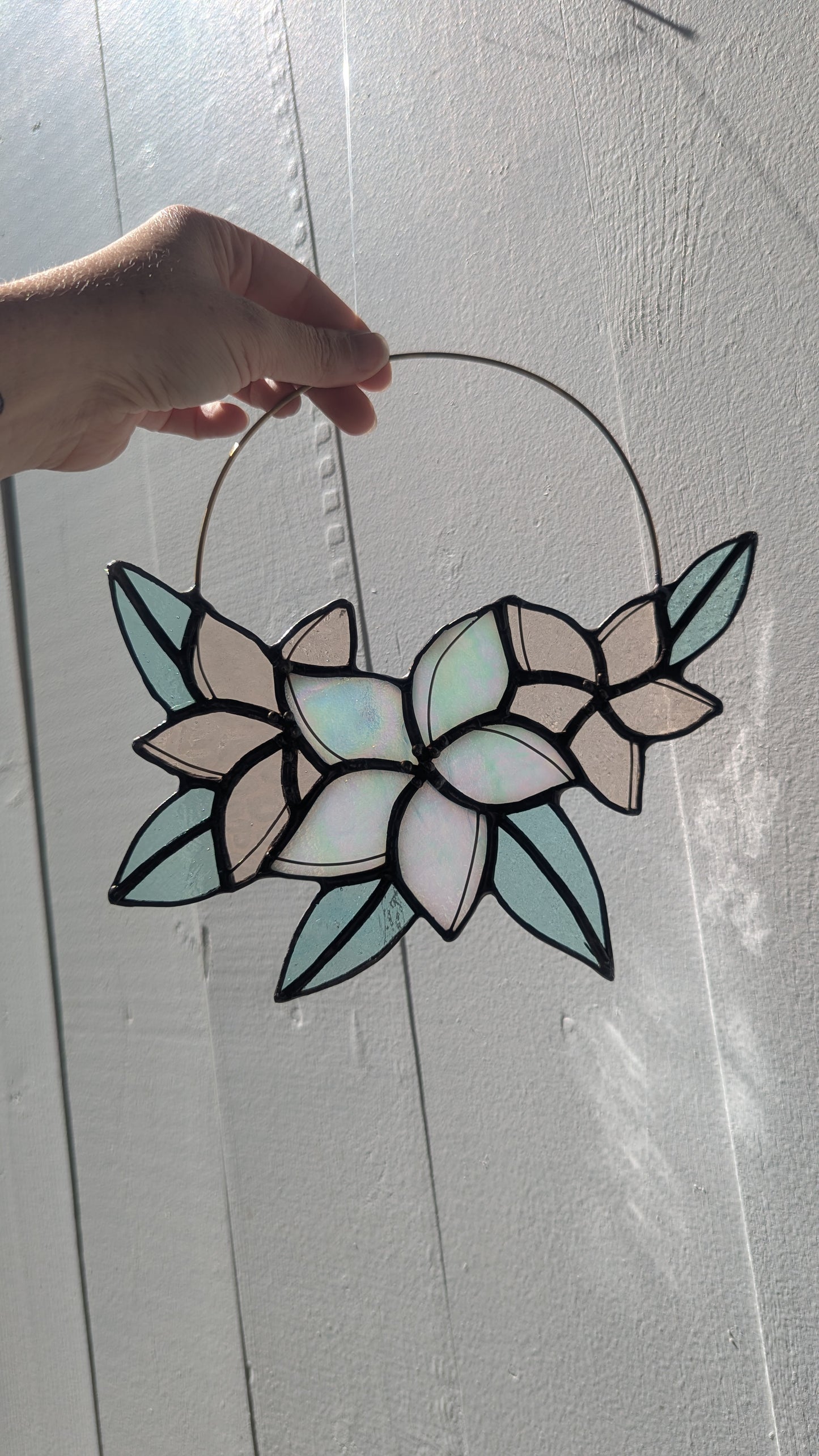 Plumeria