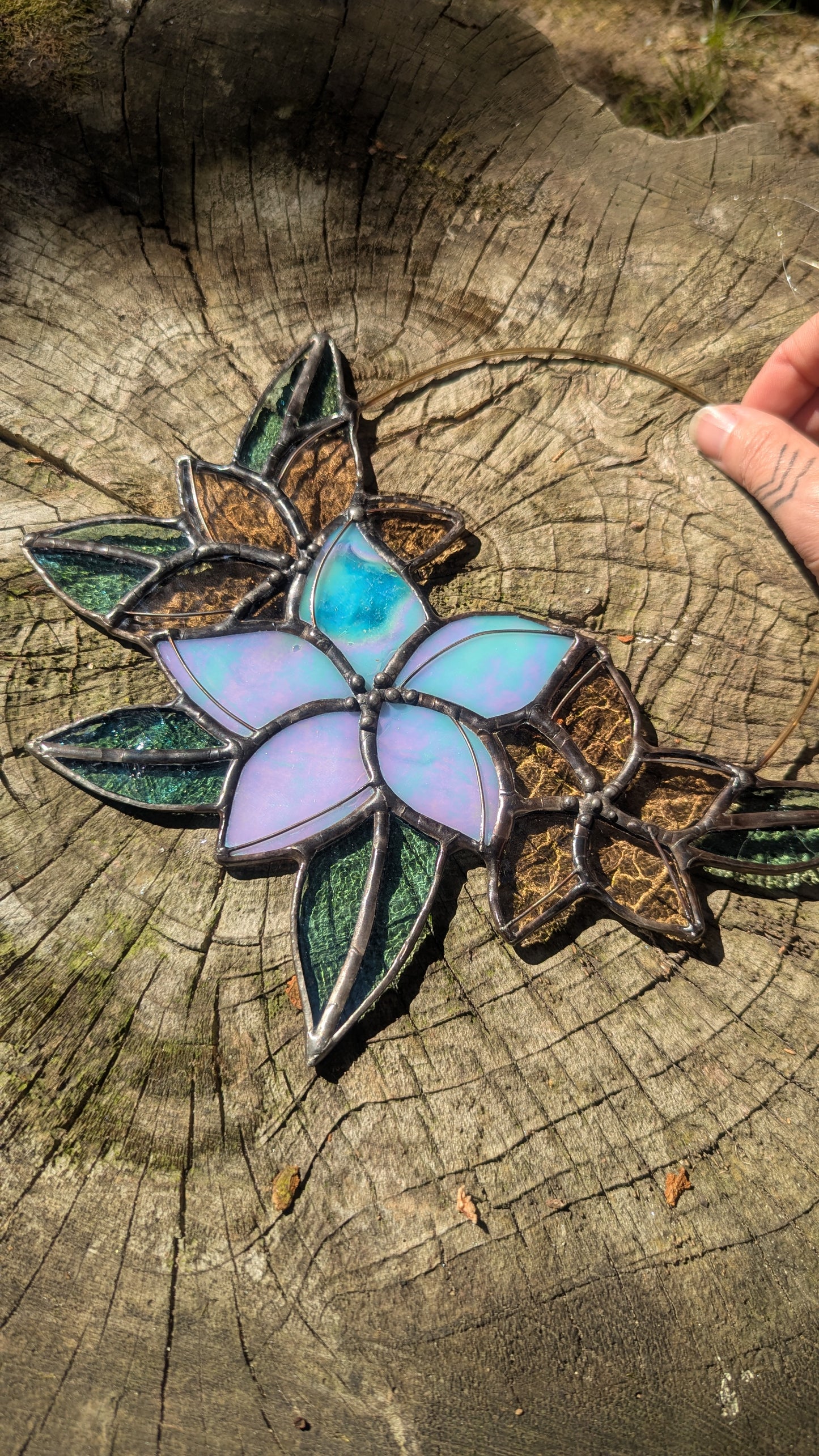 Plumeria