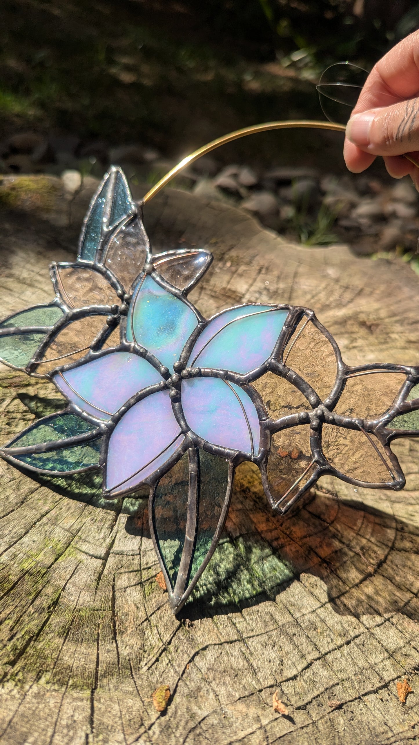 Plumeria