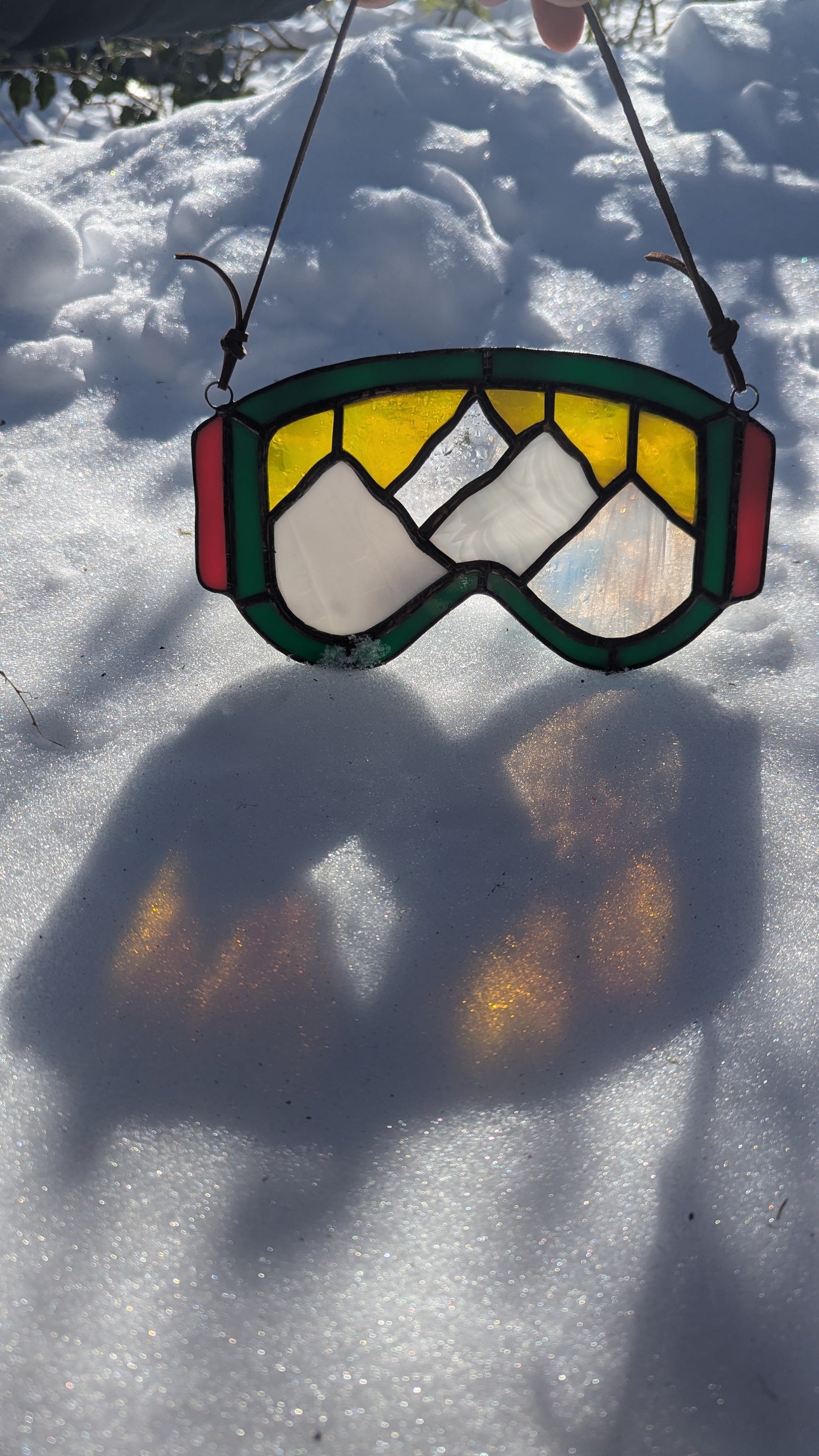 Mountain Ski Goggles