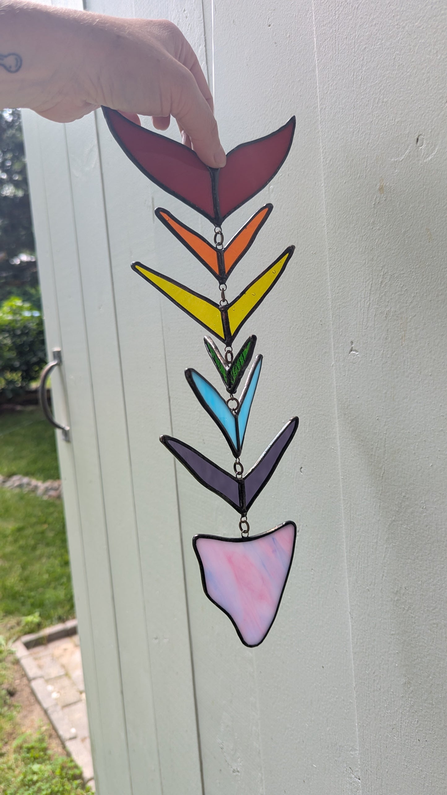 Rainbow Fish Bones