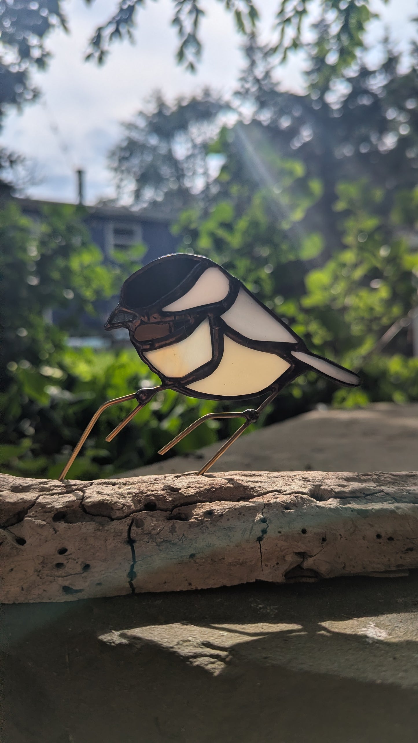 Chickadee 1
