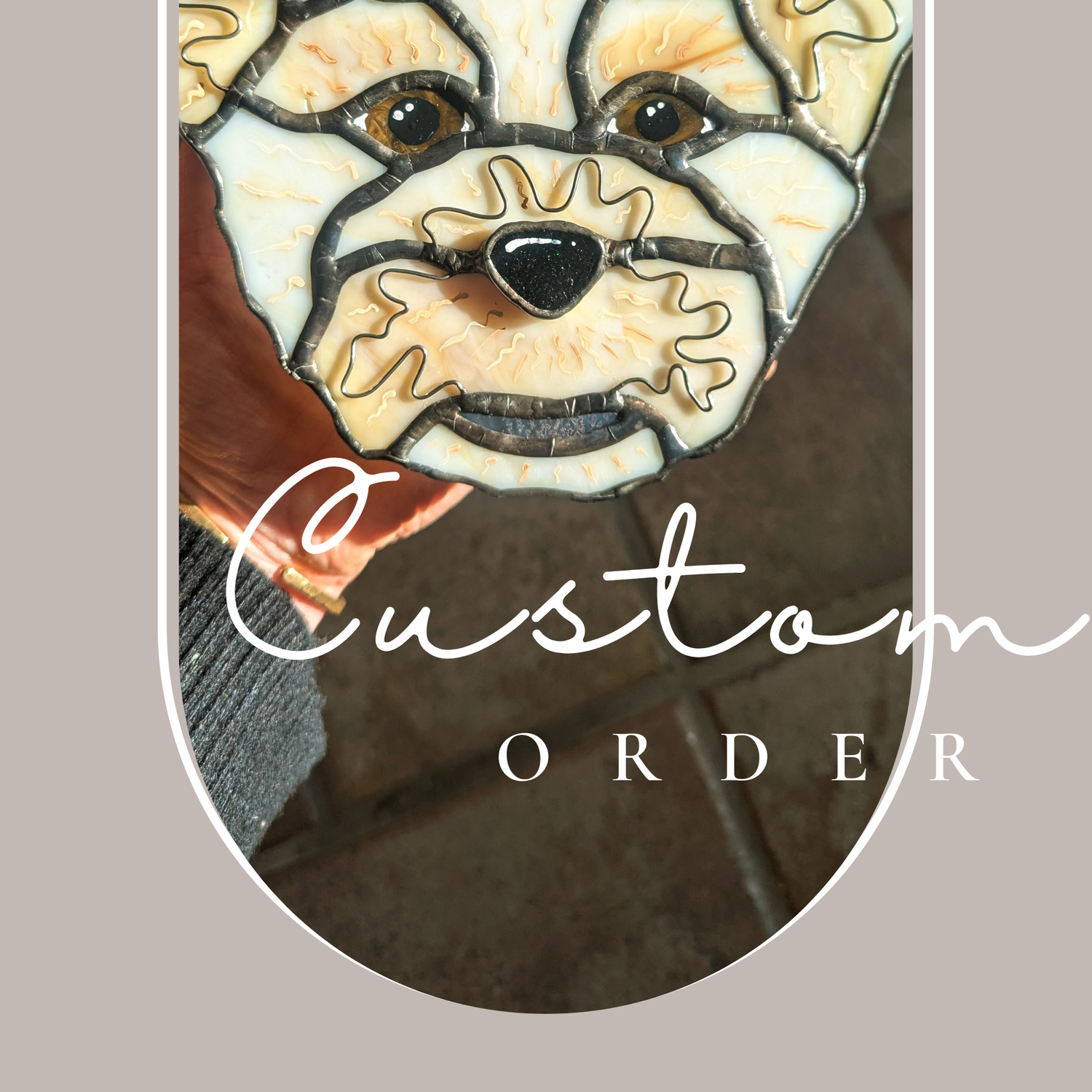 Pet Portraits