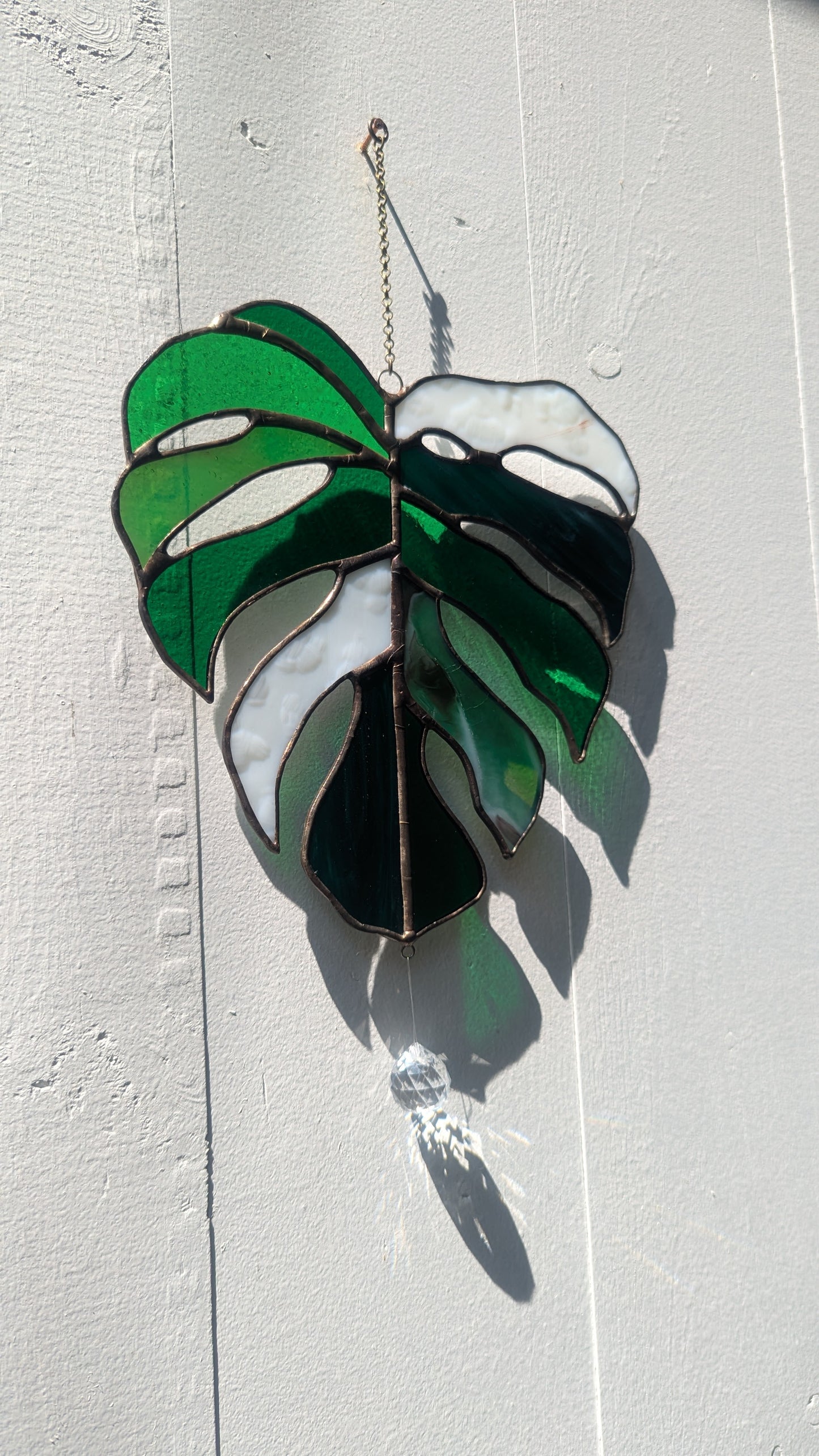 Large Monstera Leaf