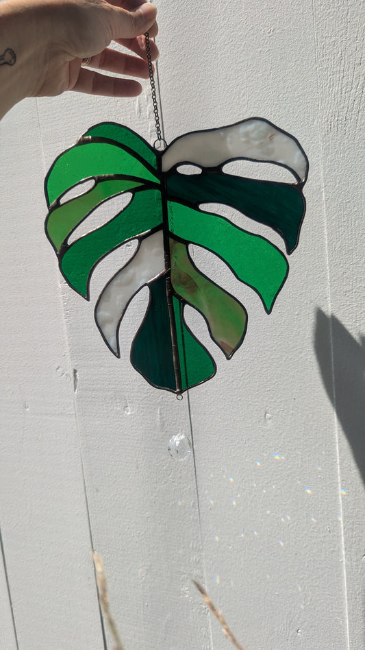 Large Monstera Leaf