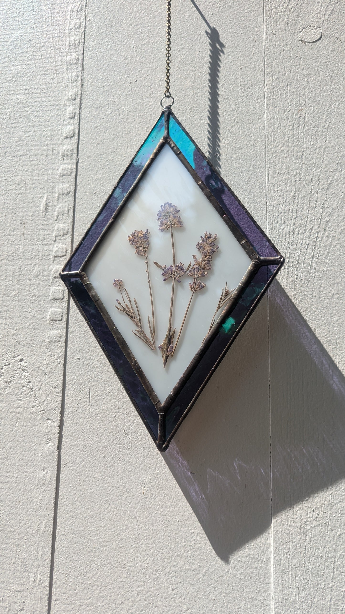 Pressed Lavender