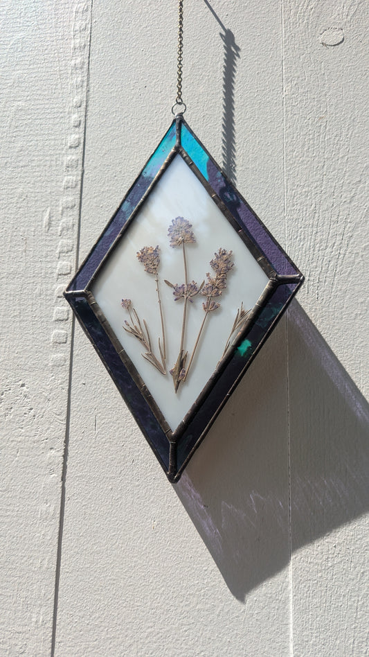 Pressed Lavender