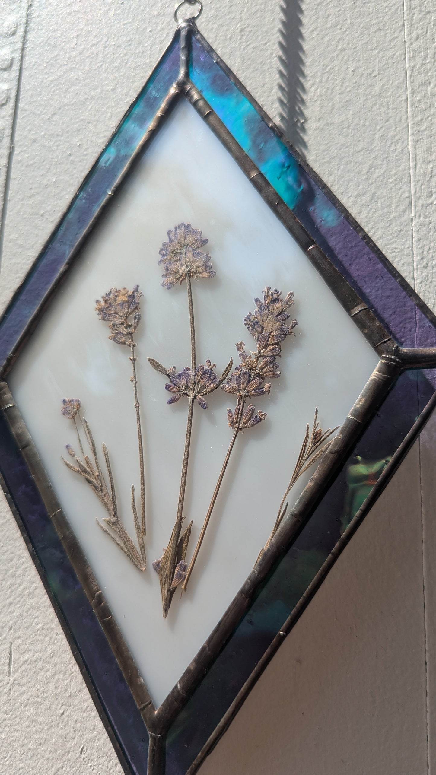 Pressed Lavender