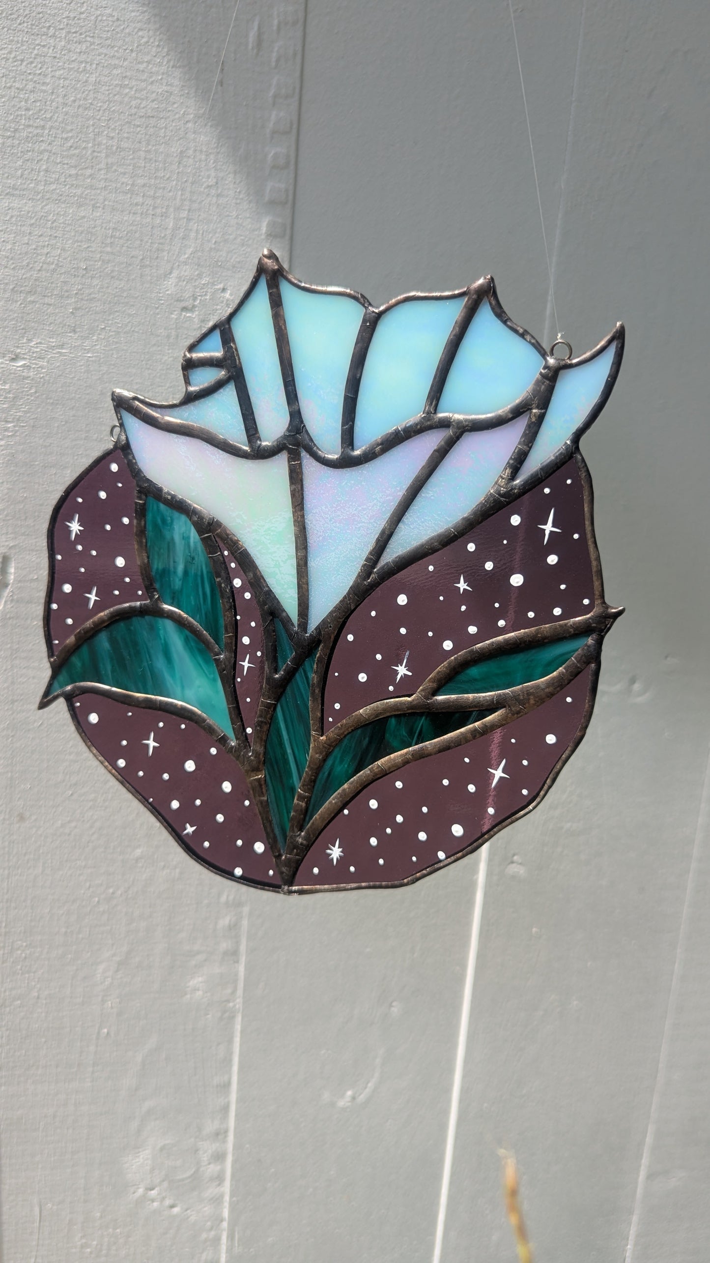 Datura