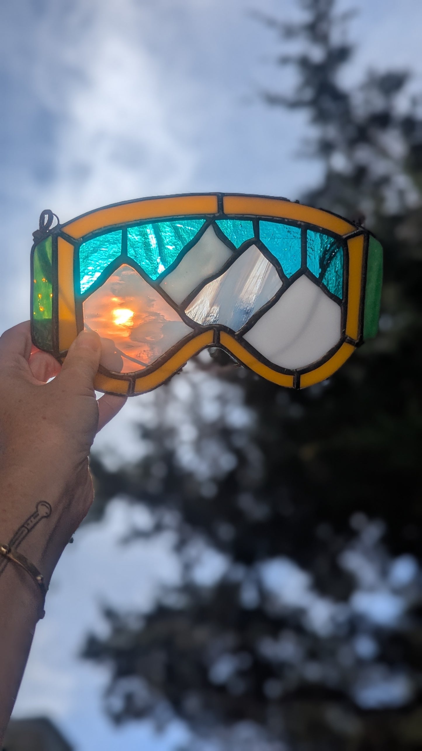 Mountain Ski Goggles