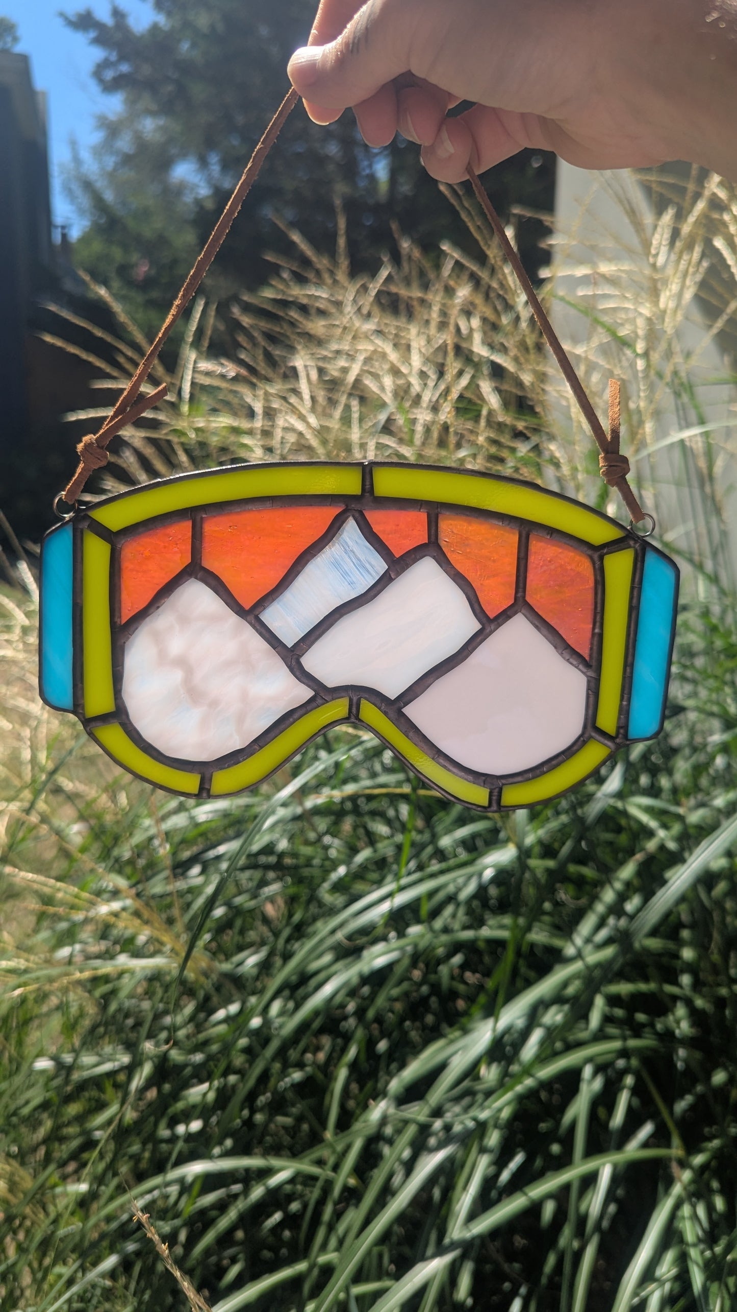 Mountain Ski Goggles