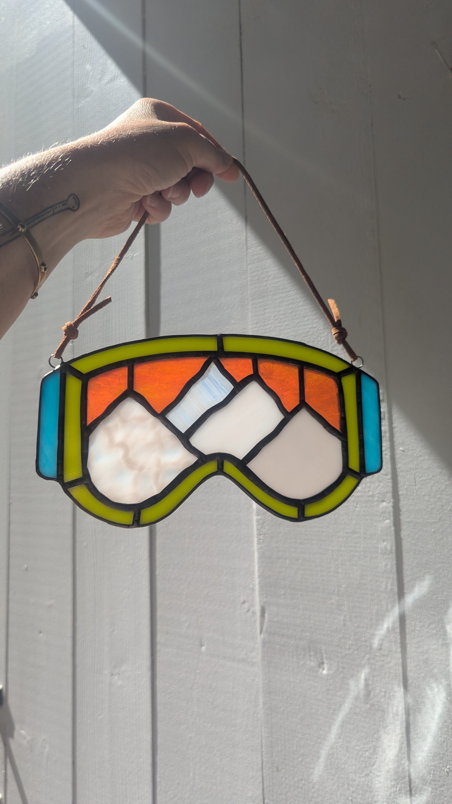 Mountain Ski Goggles