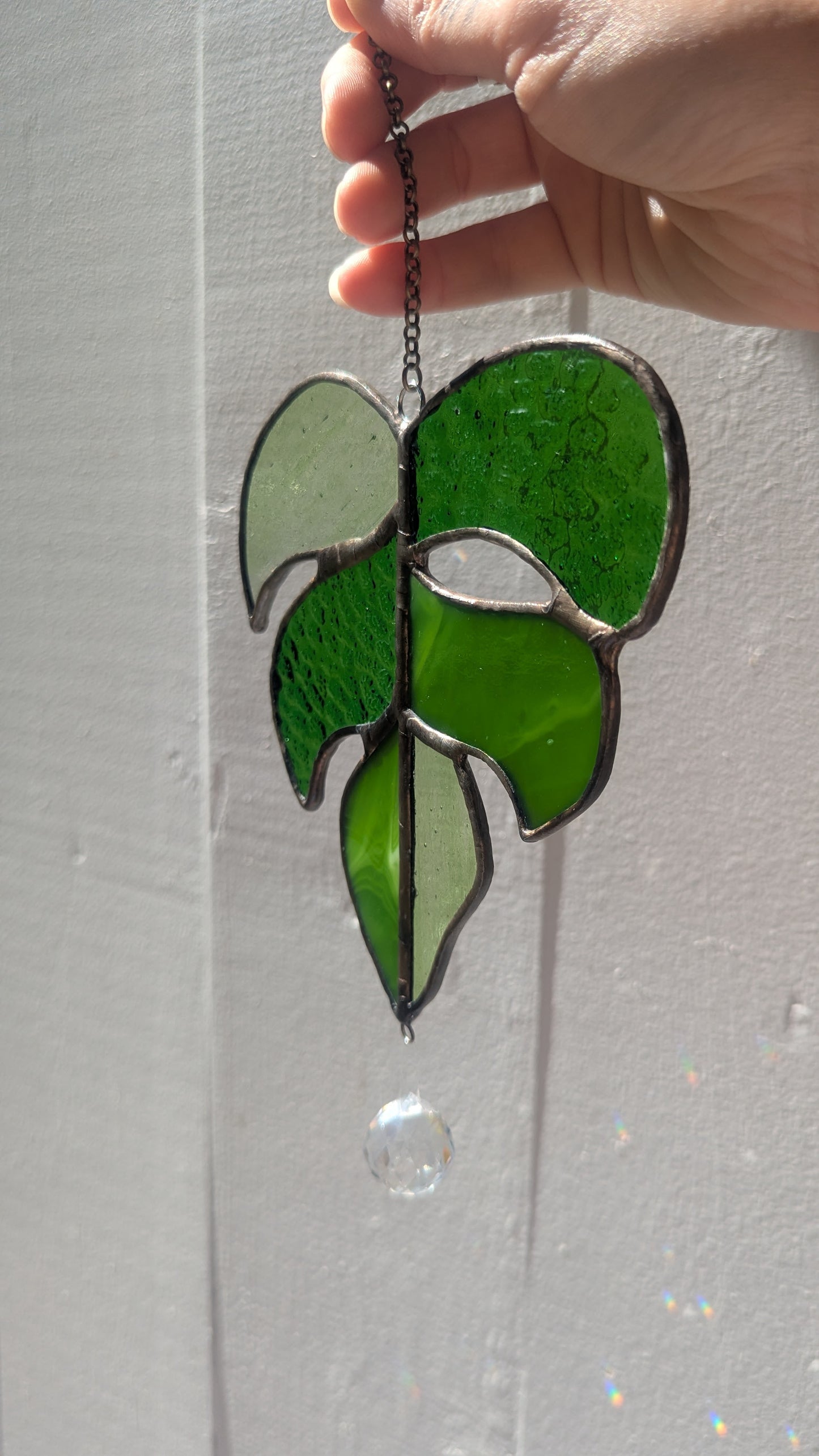 Small Monstera Leaf