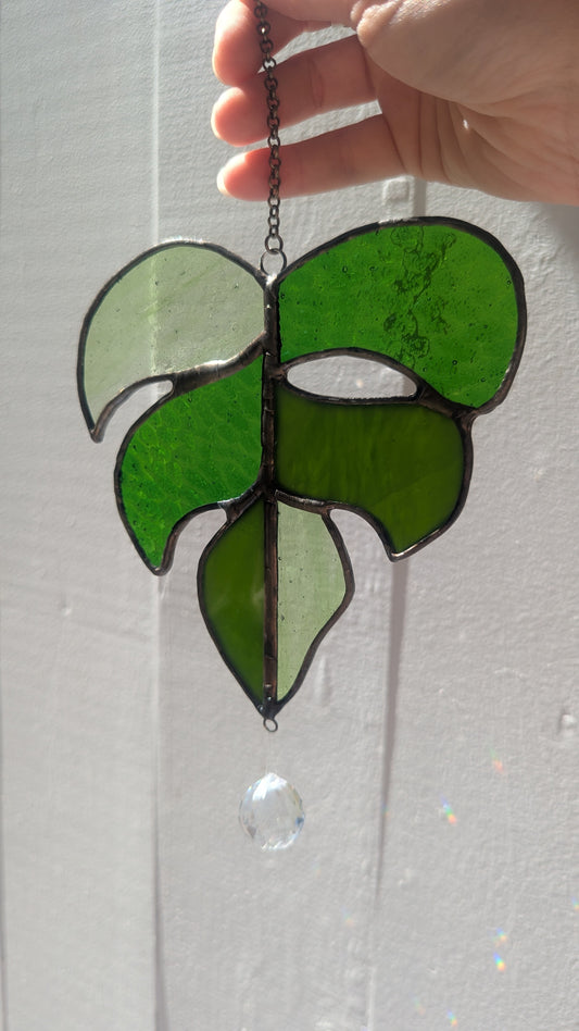 Small Monstera Leaf