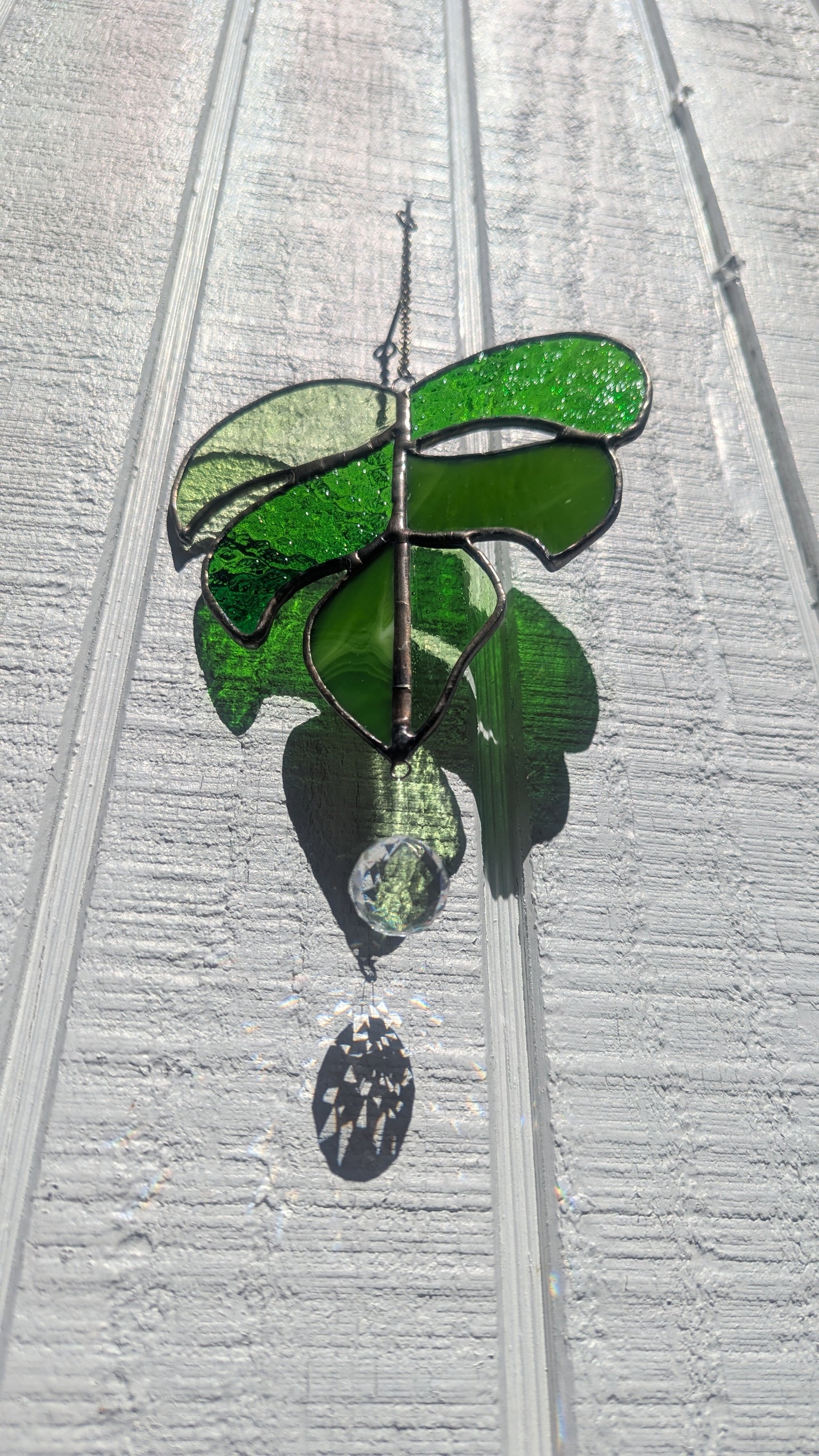 Small Monstera Leaf