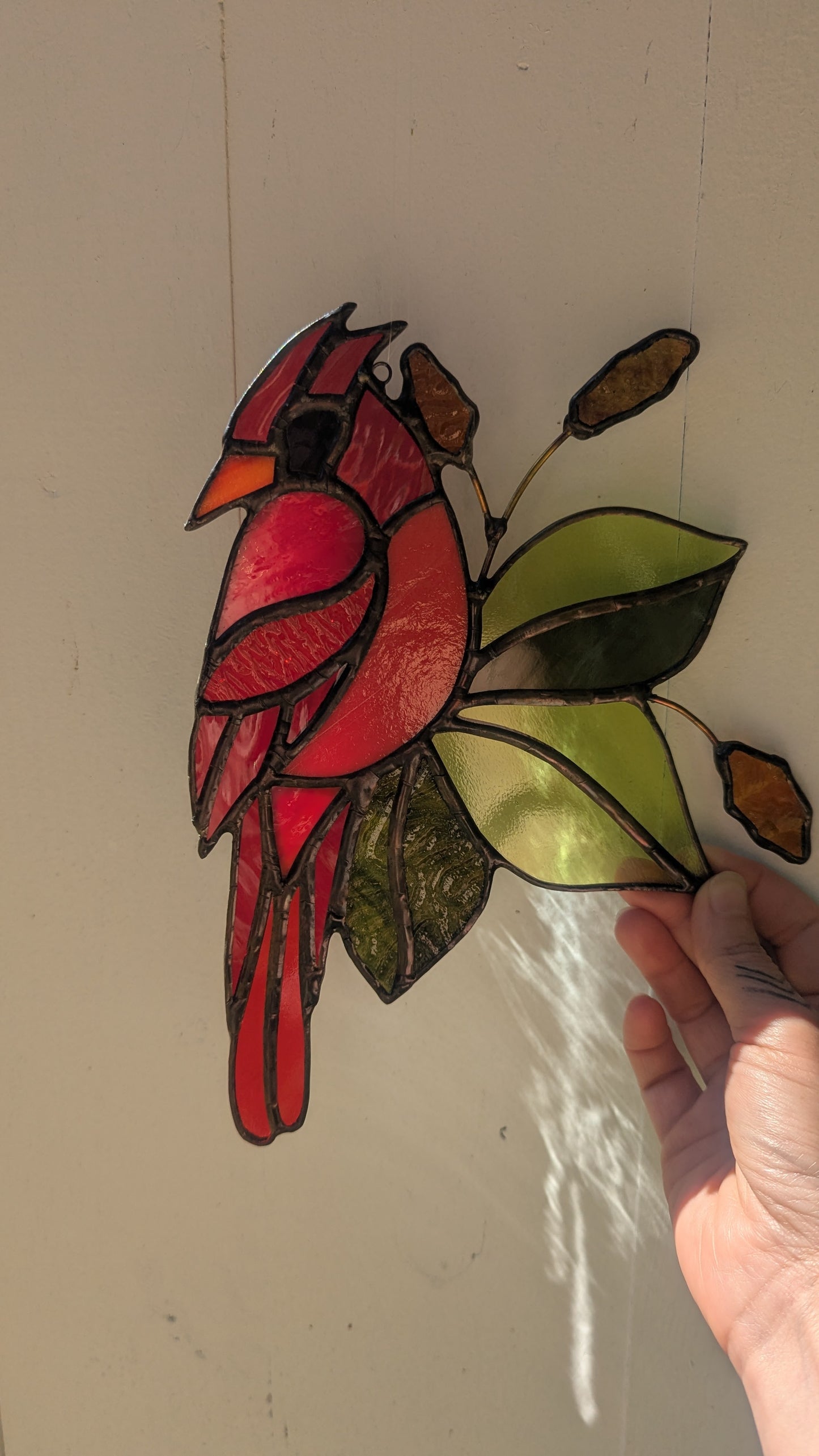 Cardinal