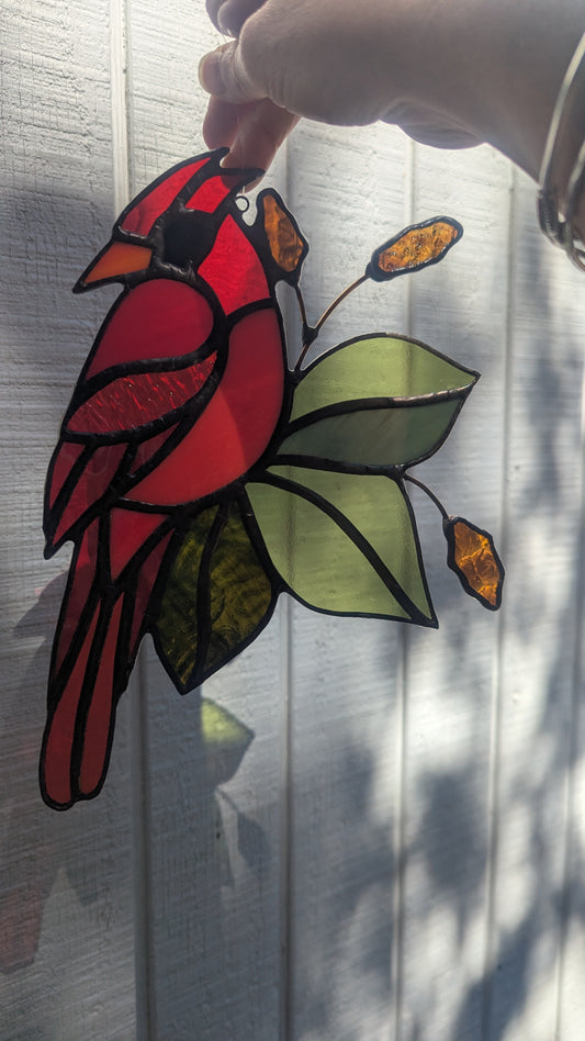 Cardinal