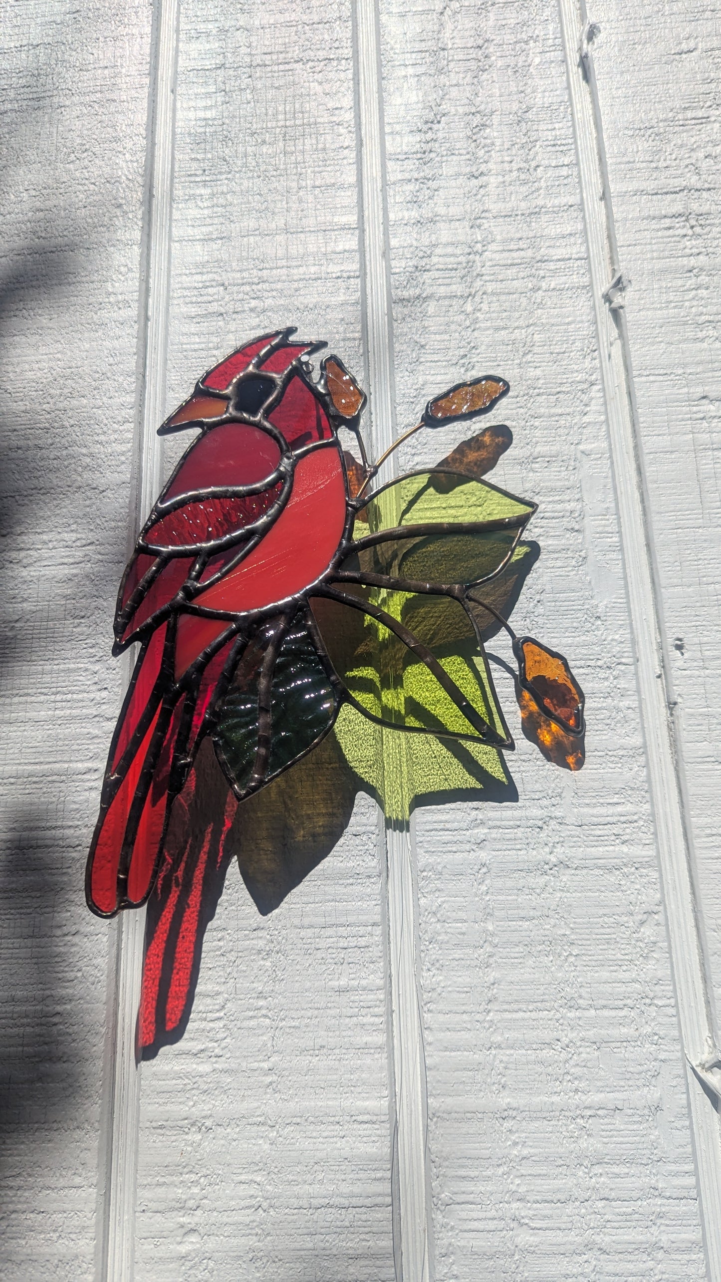 Cardinal