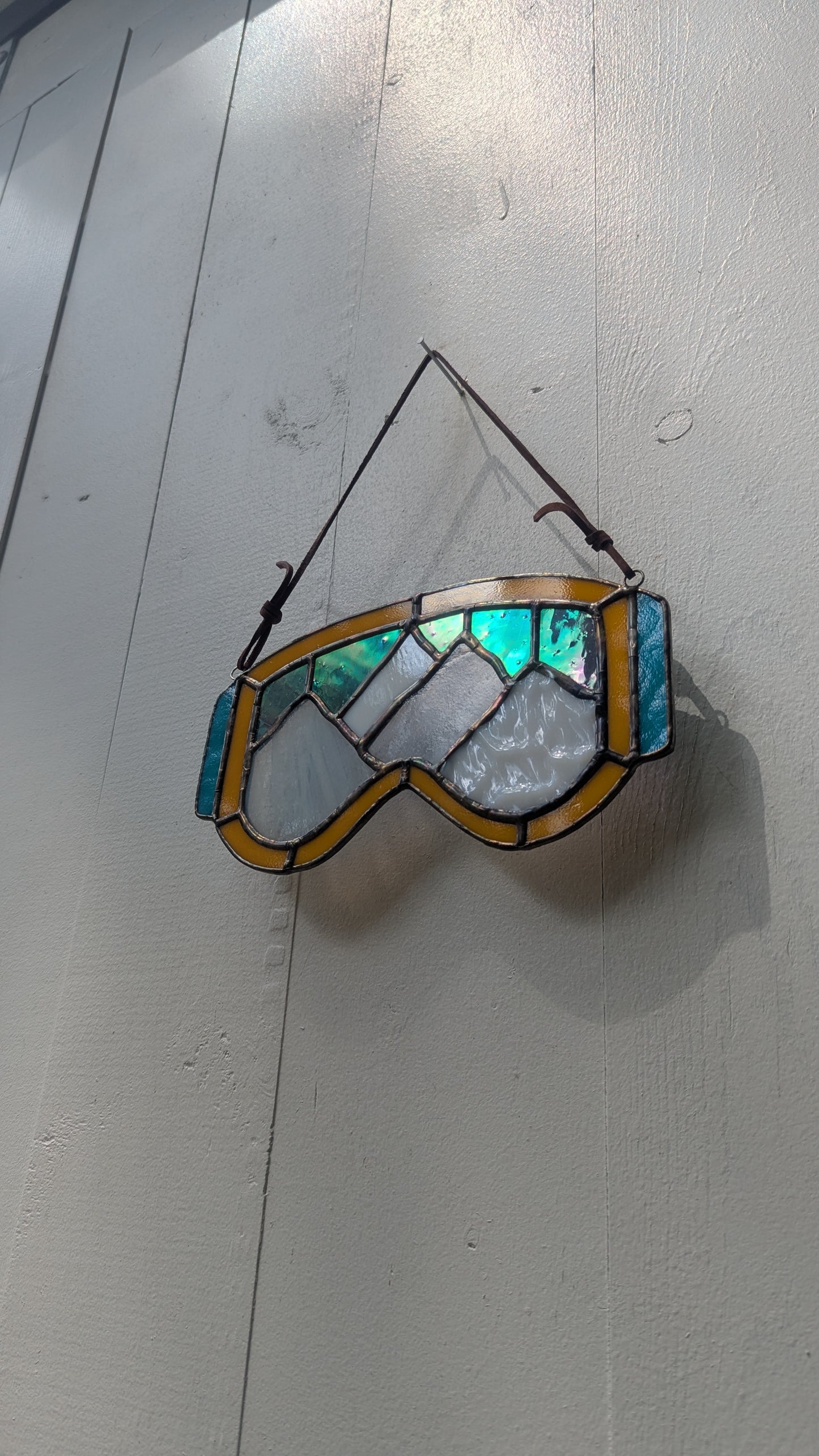 Mountain Ski Goggles