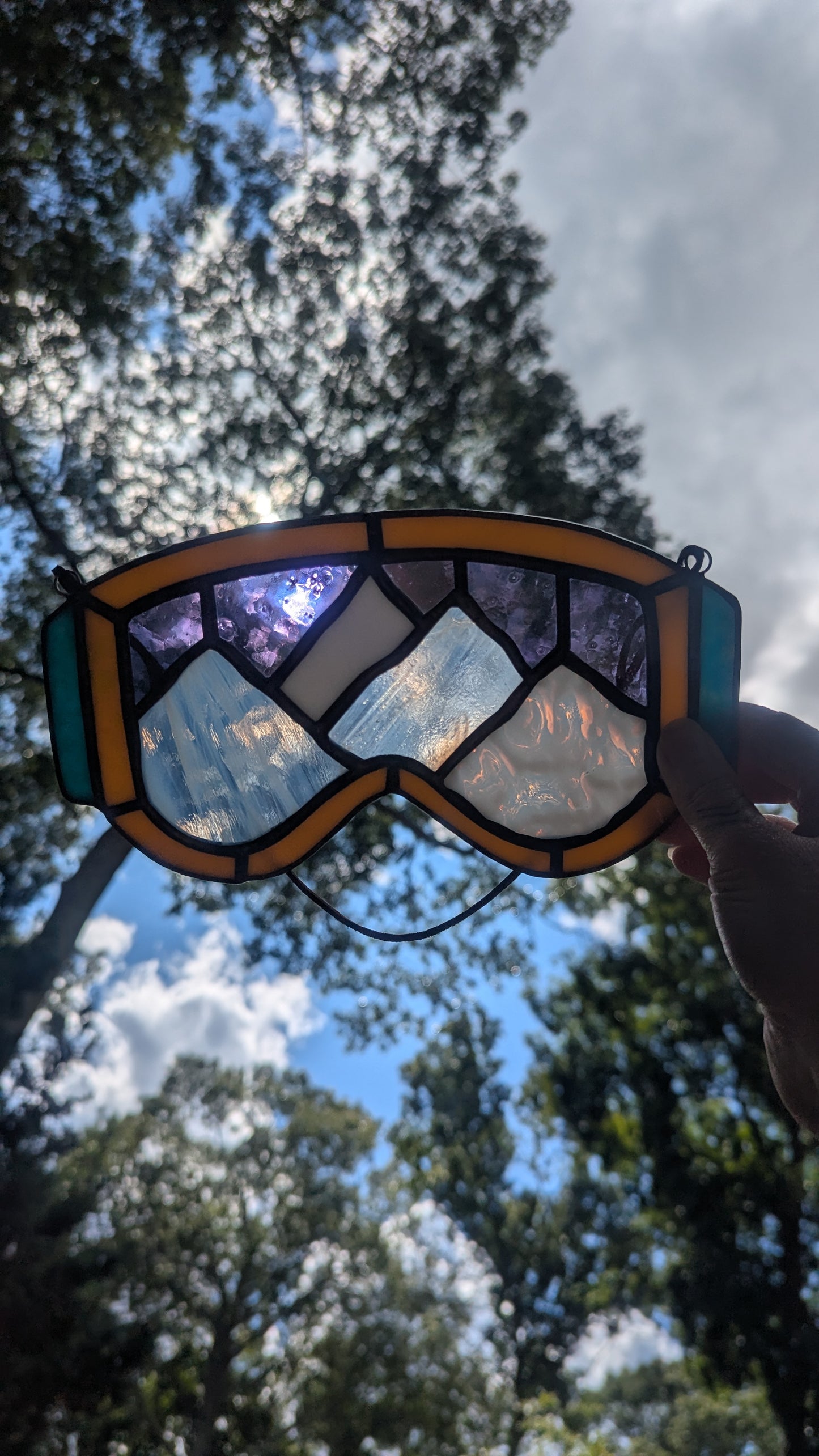 Mountain Ski Goggles