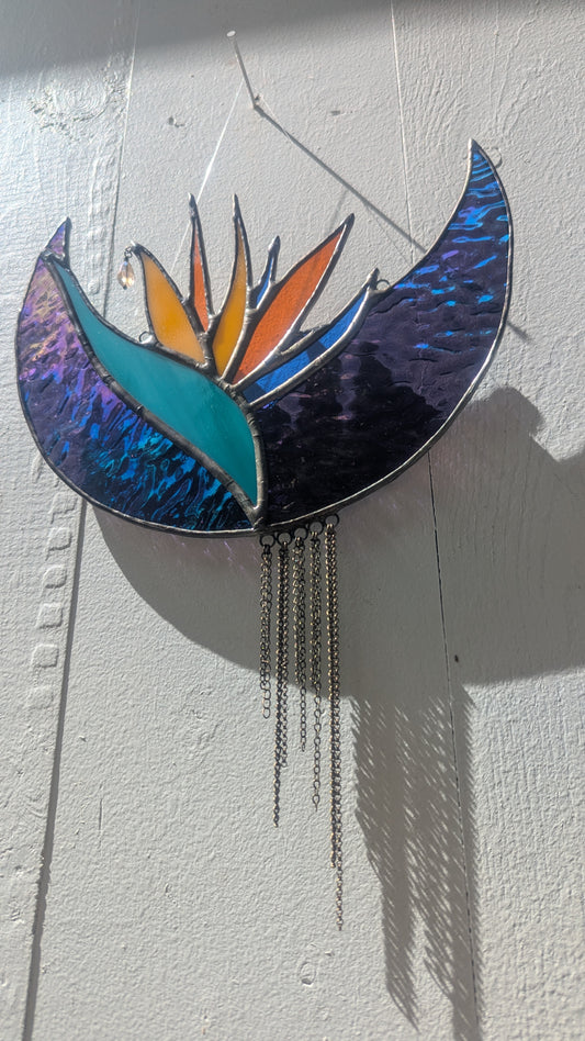 Bird of Paradise
