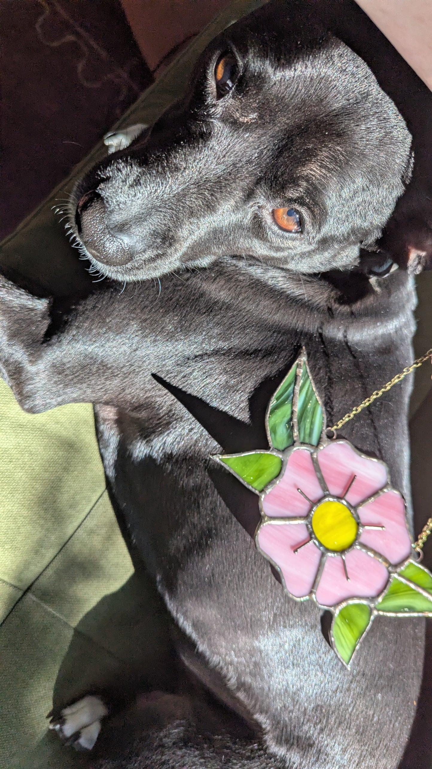 Trad Tat Flower