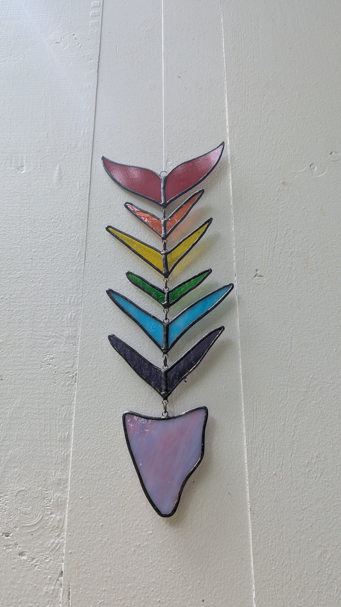 Rainbow Fish Bones