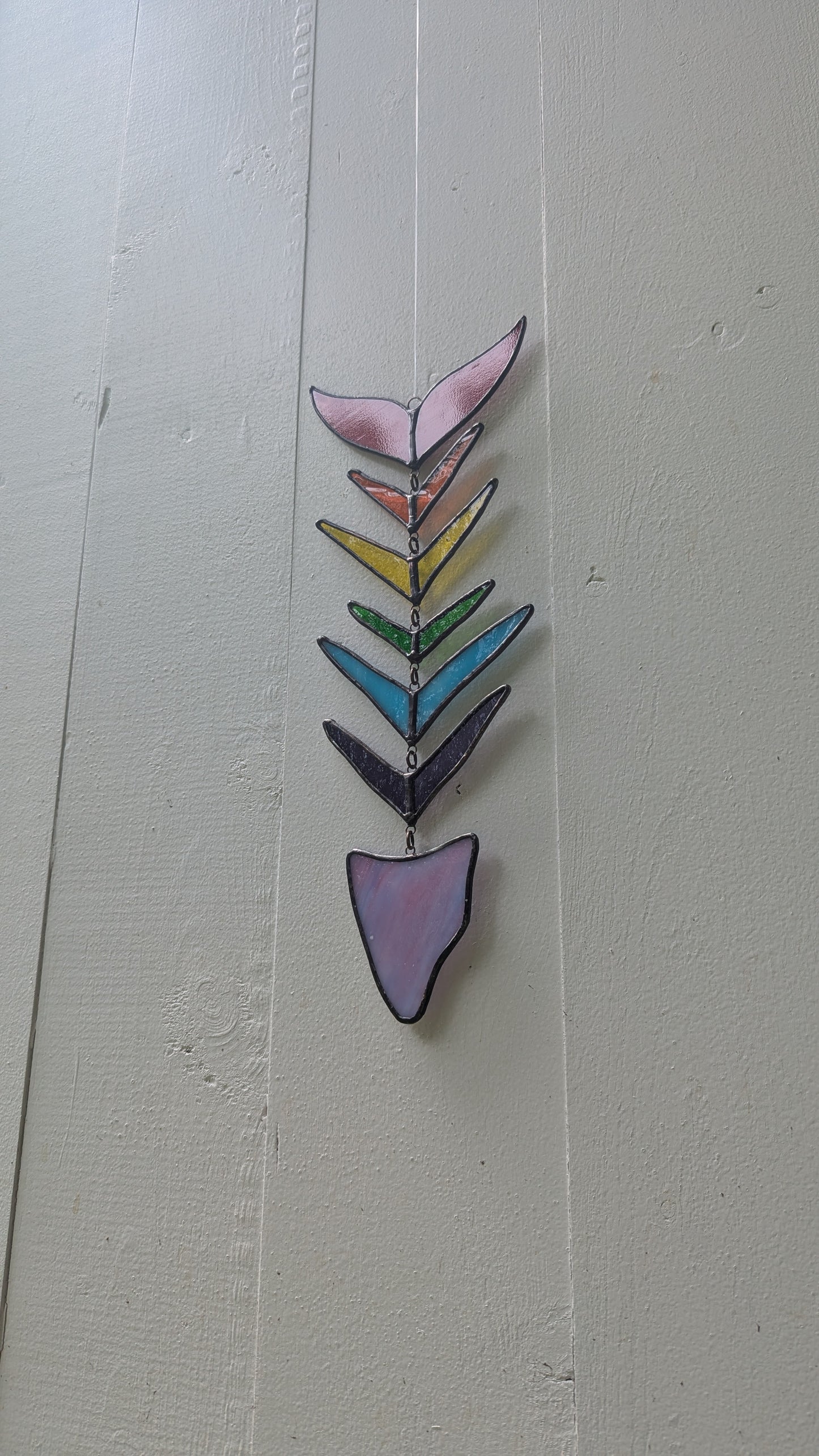 Rainbow Fish Bones
