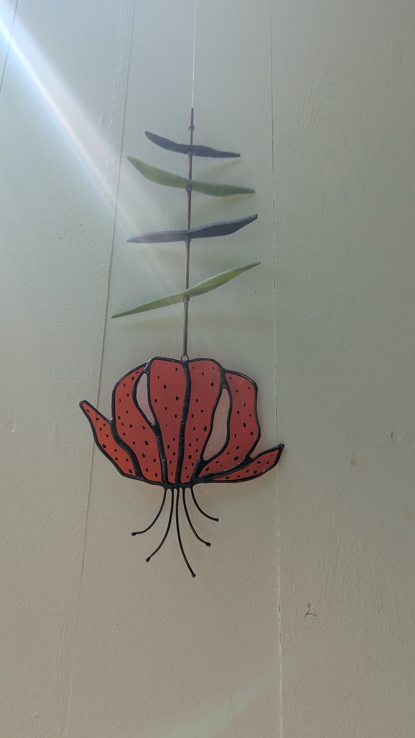 Tiger Lily