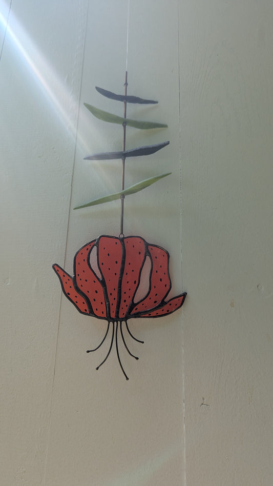 Tiger Lily