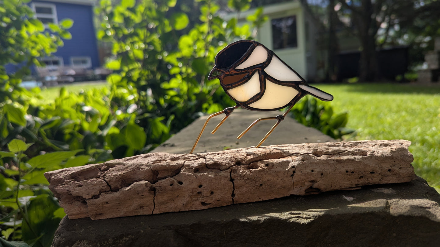 Chickadee 1