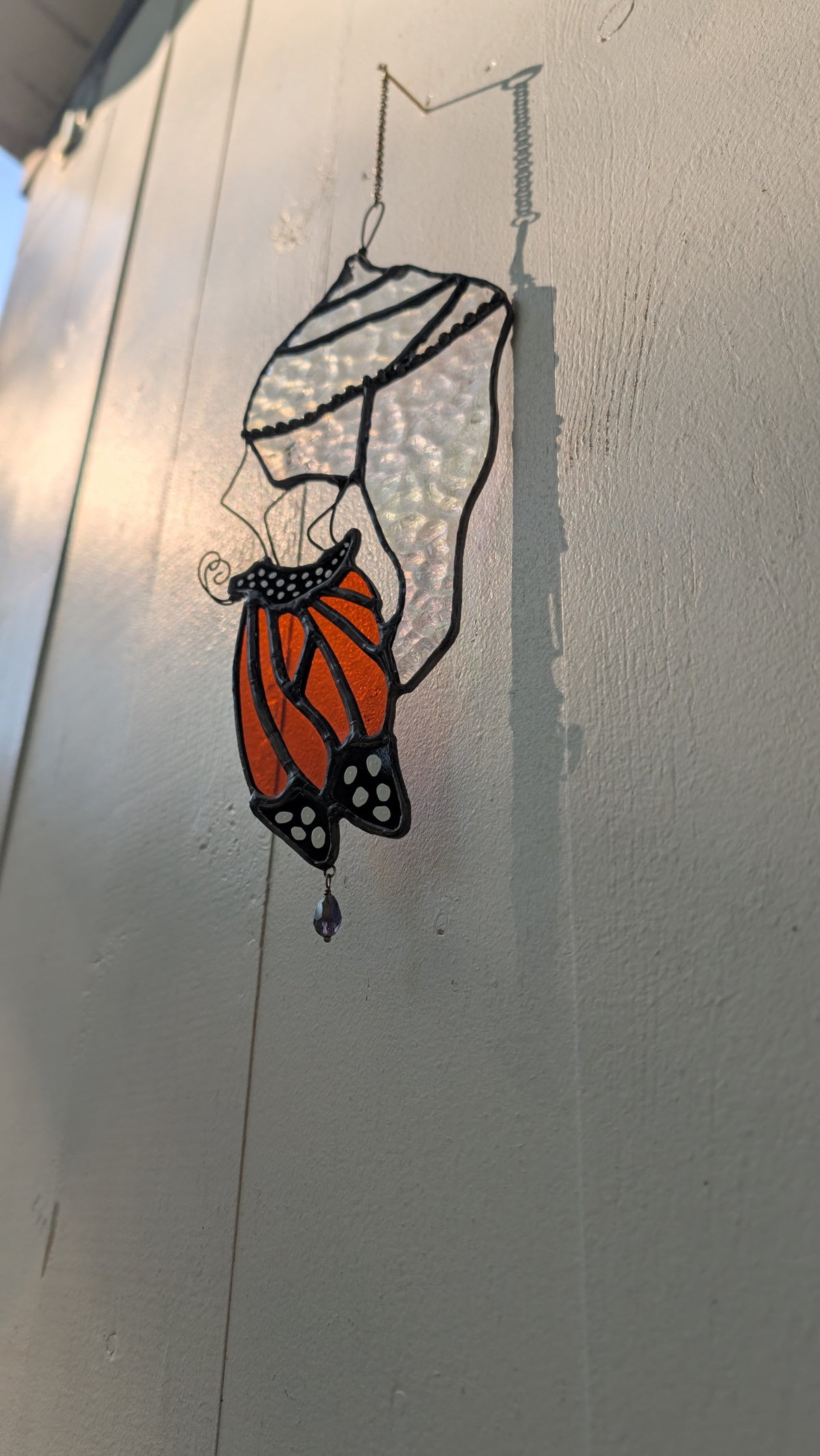 Monarch and Chrysalis