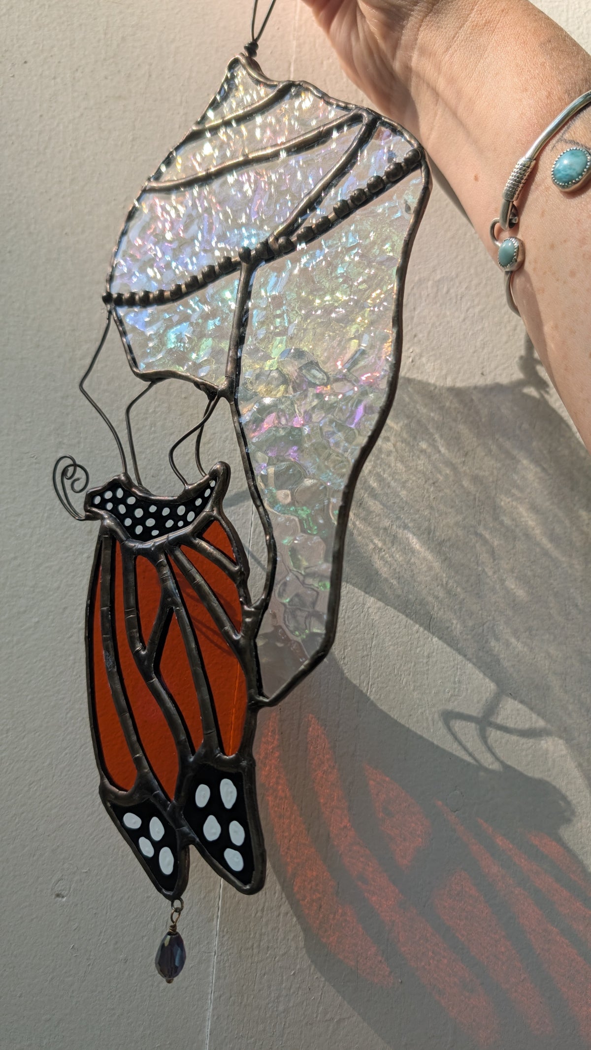 Monarch and Chrysalis