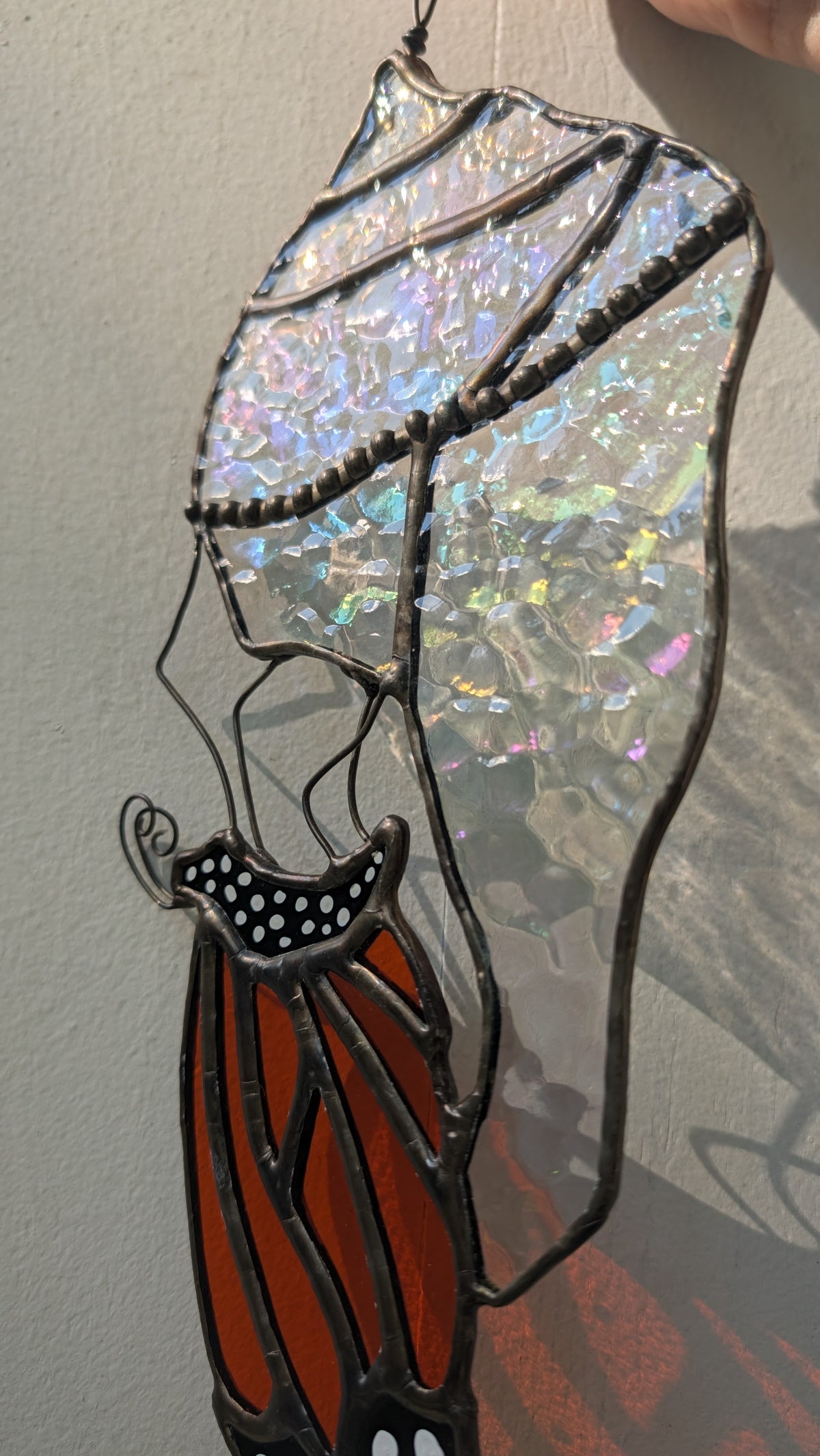 Monarch and Chrysalis