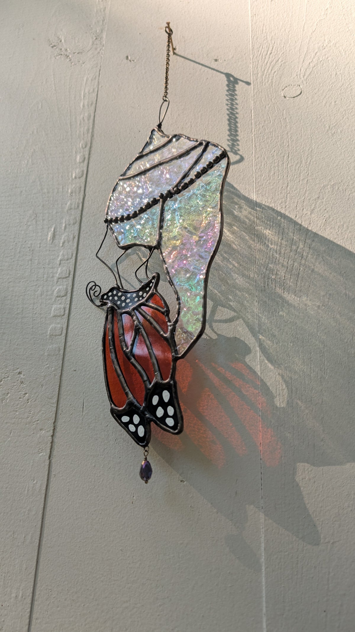 Monarch and Chrysalis