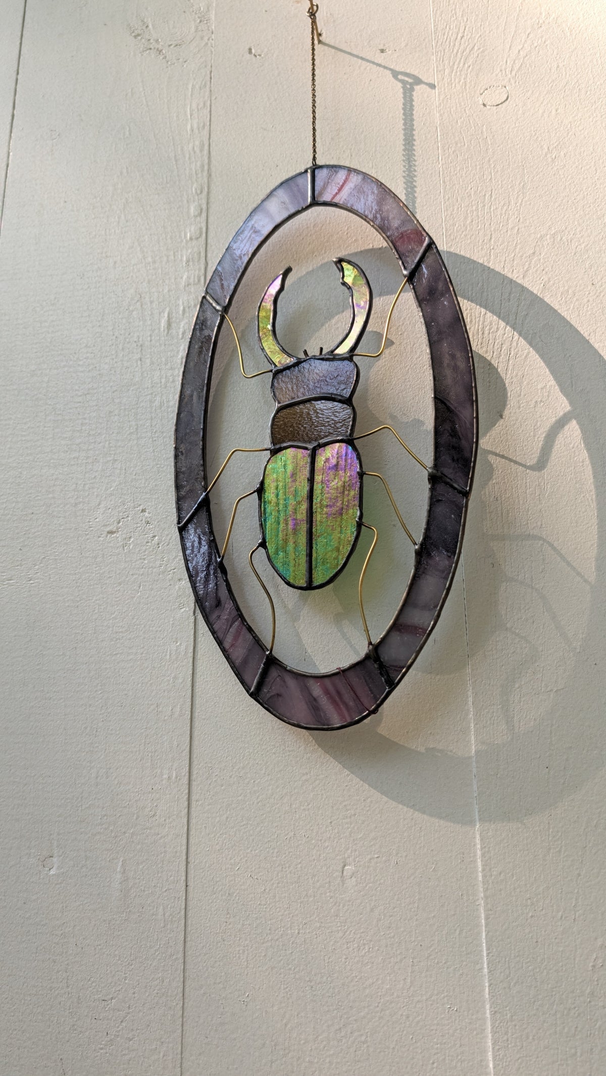 Beetle
