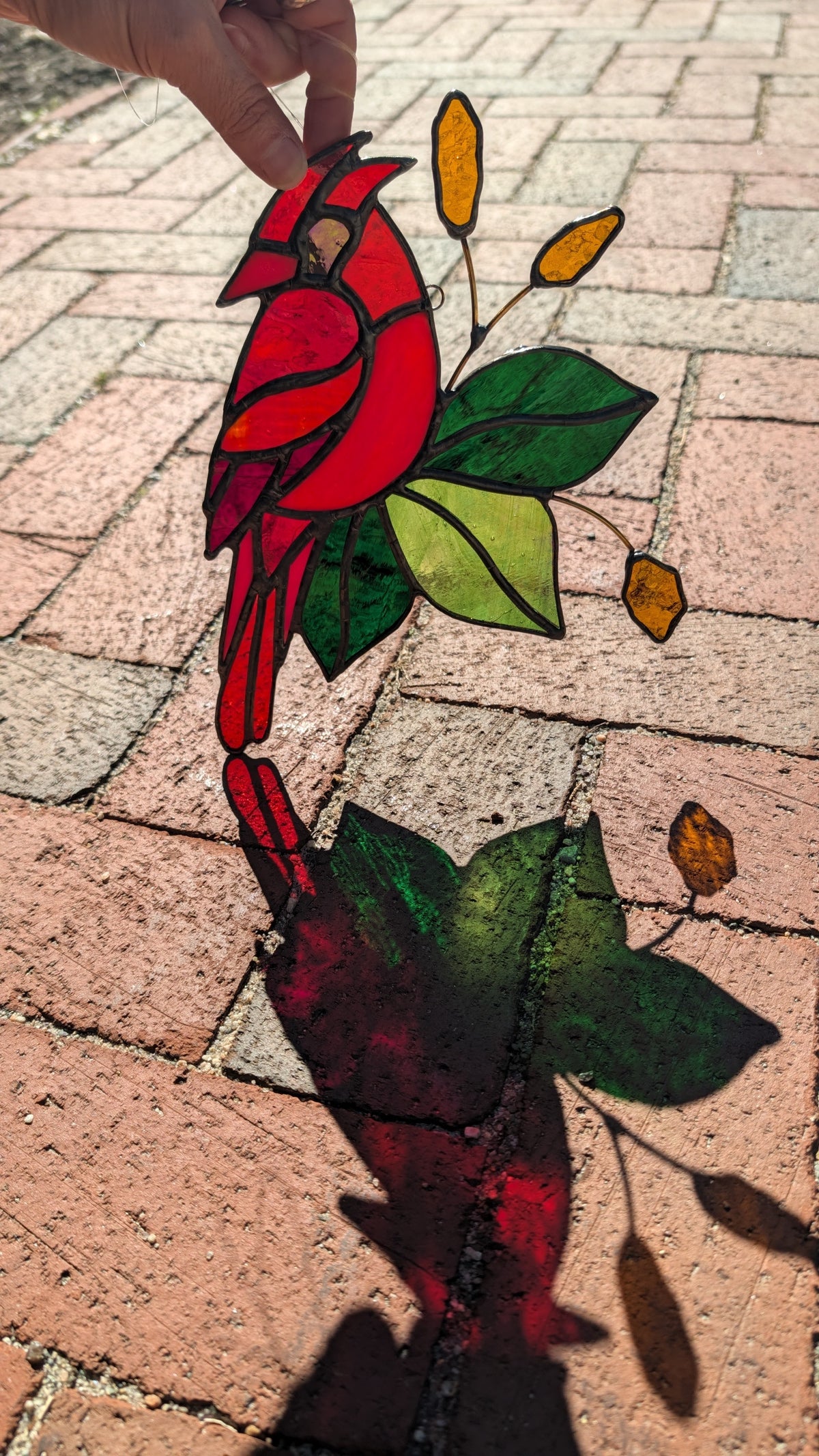 Cardinal