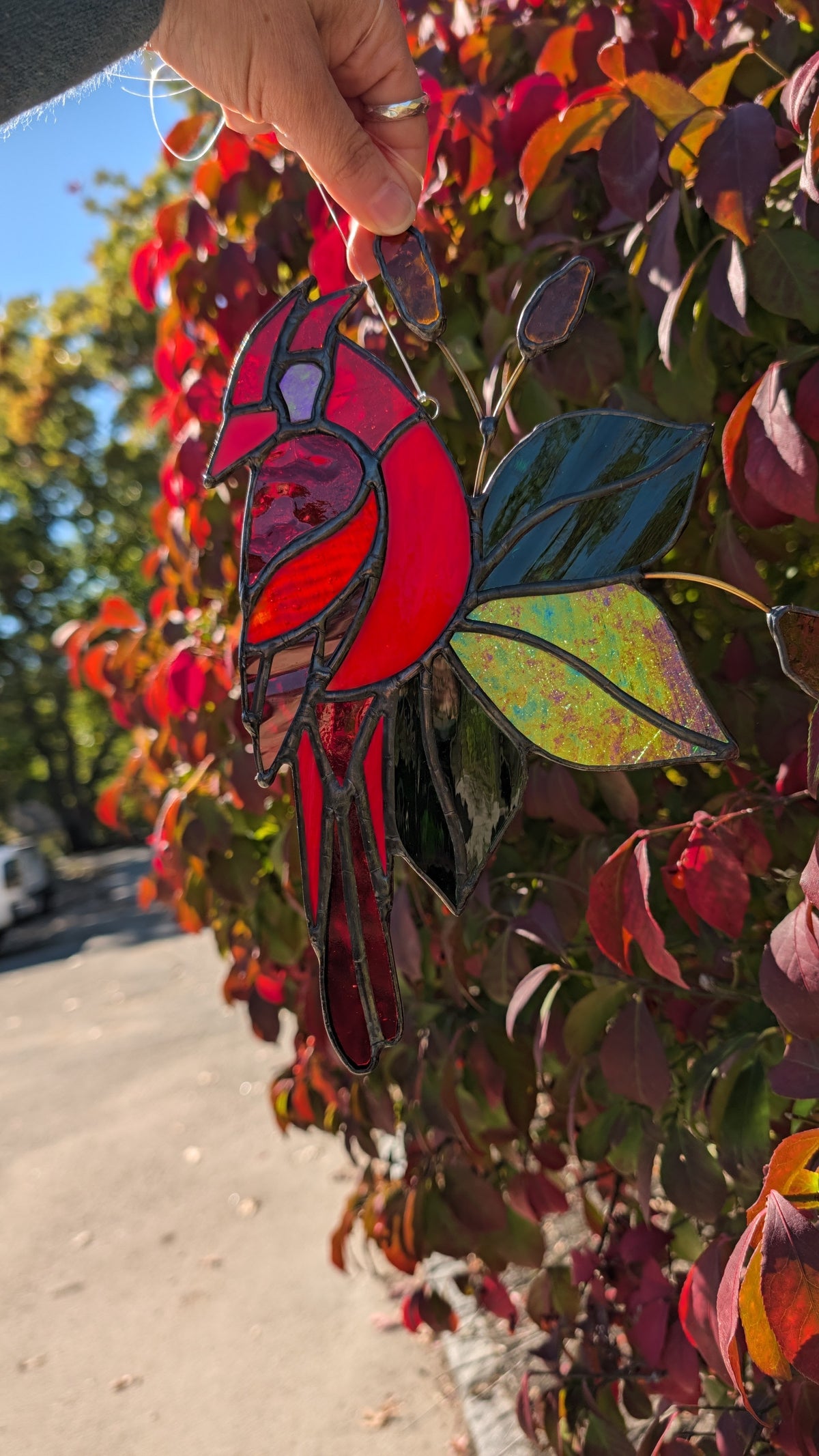 Cardinal