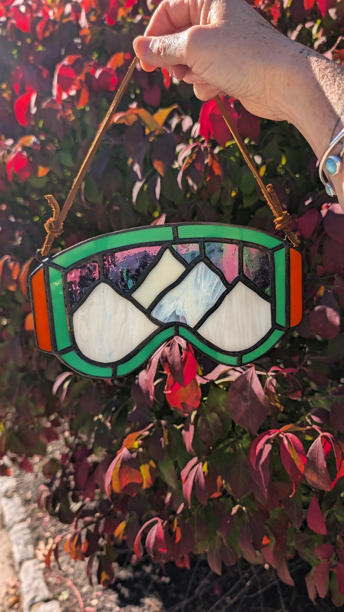 Mountain Ski Goggles