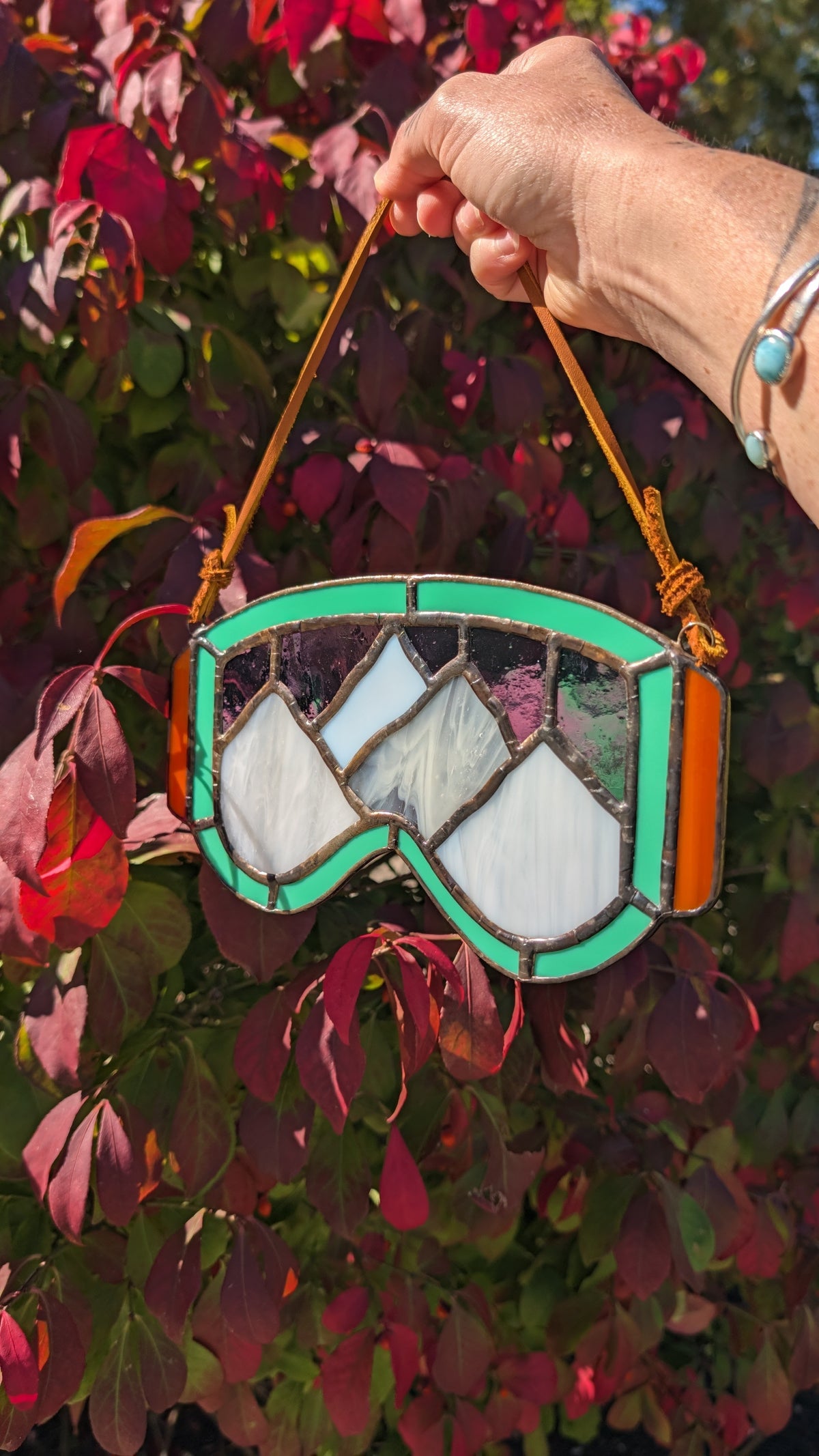 Mountain Ski Goggles