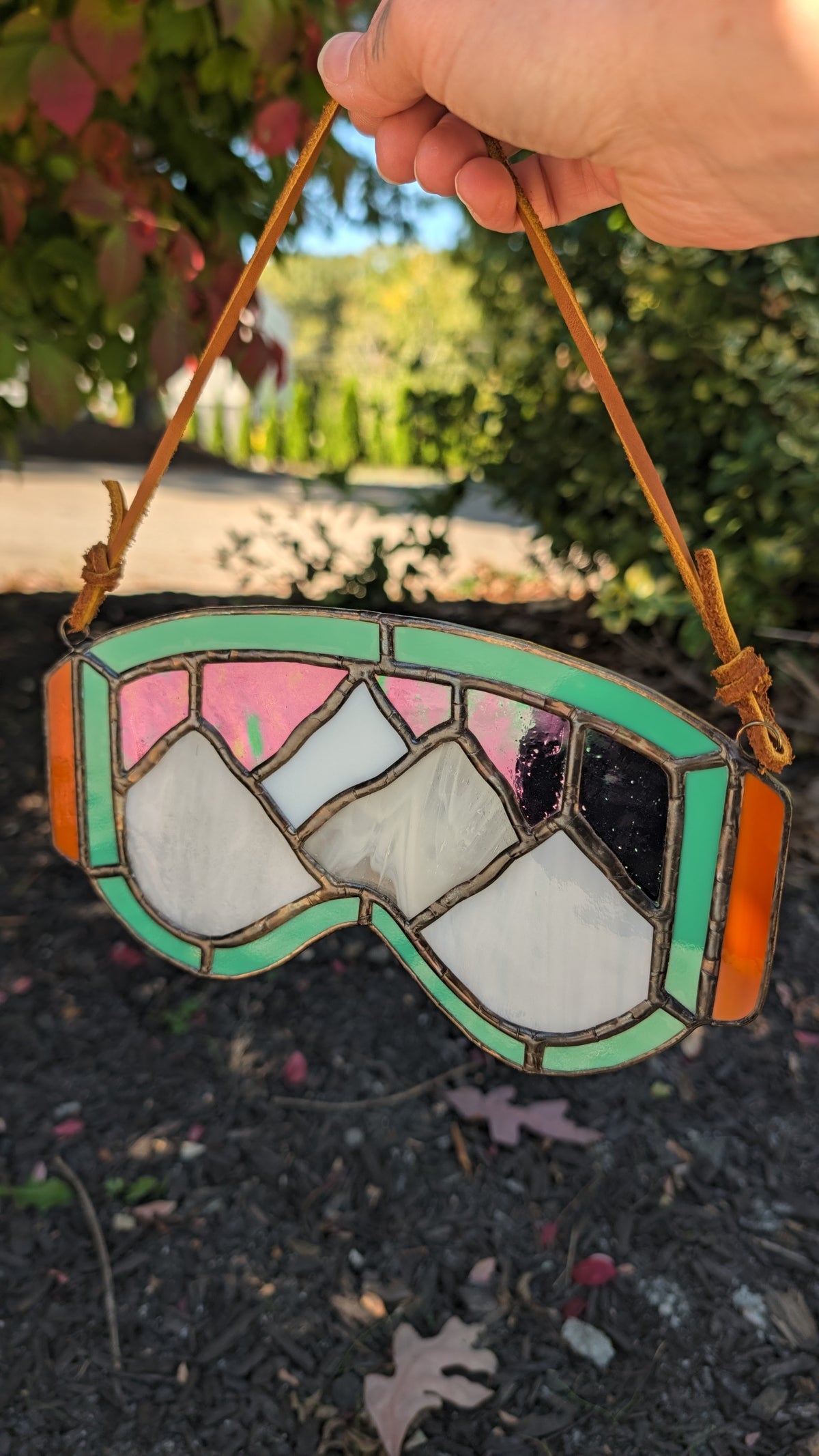 Mountain Ski Goggles